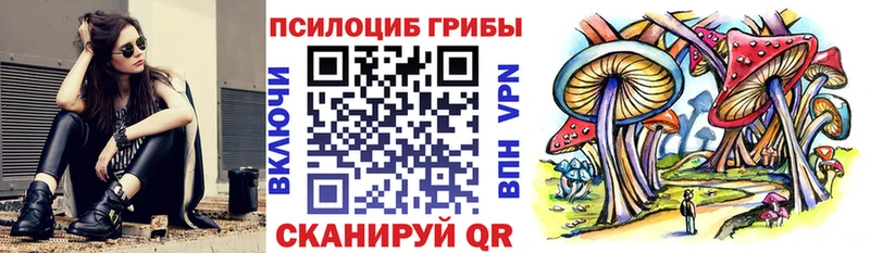 МЕГА как войти  Комсомольск-на-Амуре  Галлюциногенные грибы Cubensis  магазин продажи наркотиков 