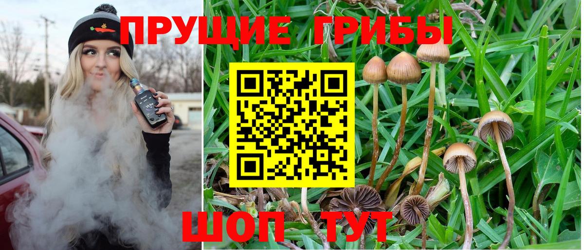 Комсомольск-на-Амуре  Галлюциногенные грибы Magic Shrooms  Вход с VPN 